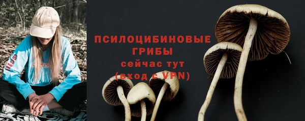 PSILOCYBIN Каменногорск