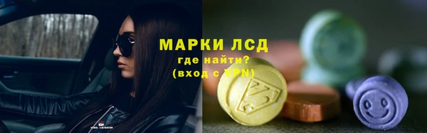 PSILOCYBIN Каменногорск