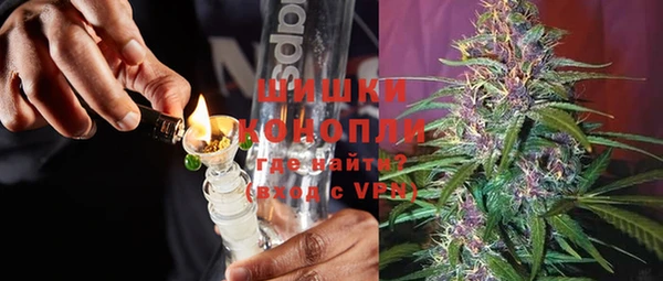 PSILOCYBIN Каменногорск