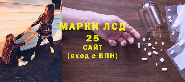 PSILOCYBIN Каменногорск