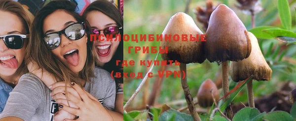 PSILOCYBIN Каменногорск