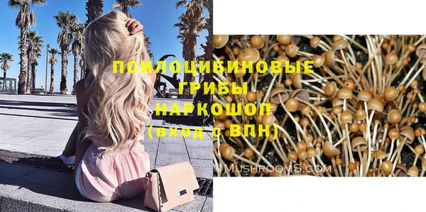 PSILOCYBIN Каменногорск