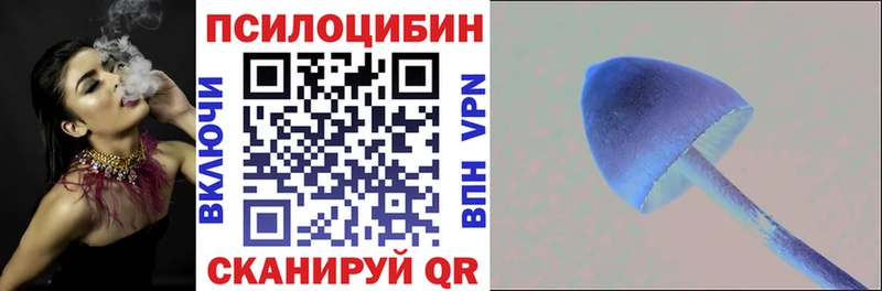 Галлюциногенные грибы Cubensis  Купить  Боготол 